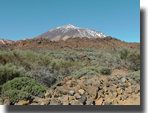 Teide